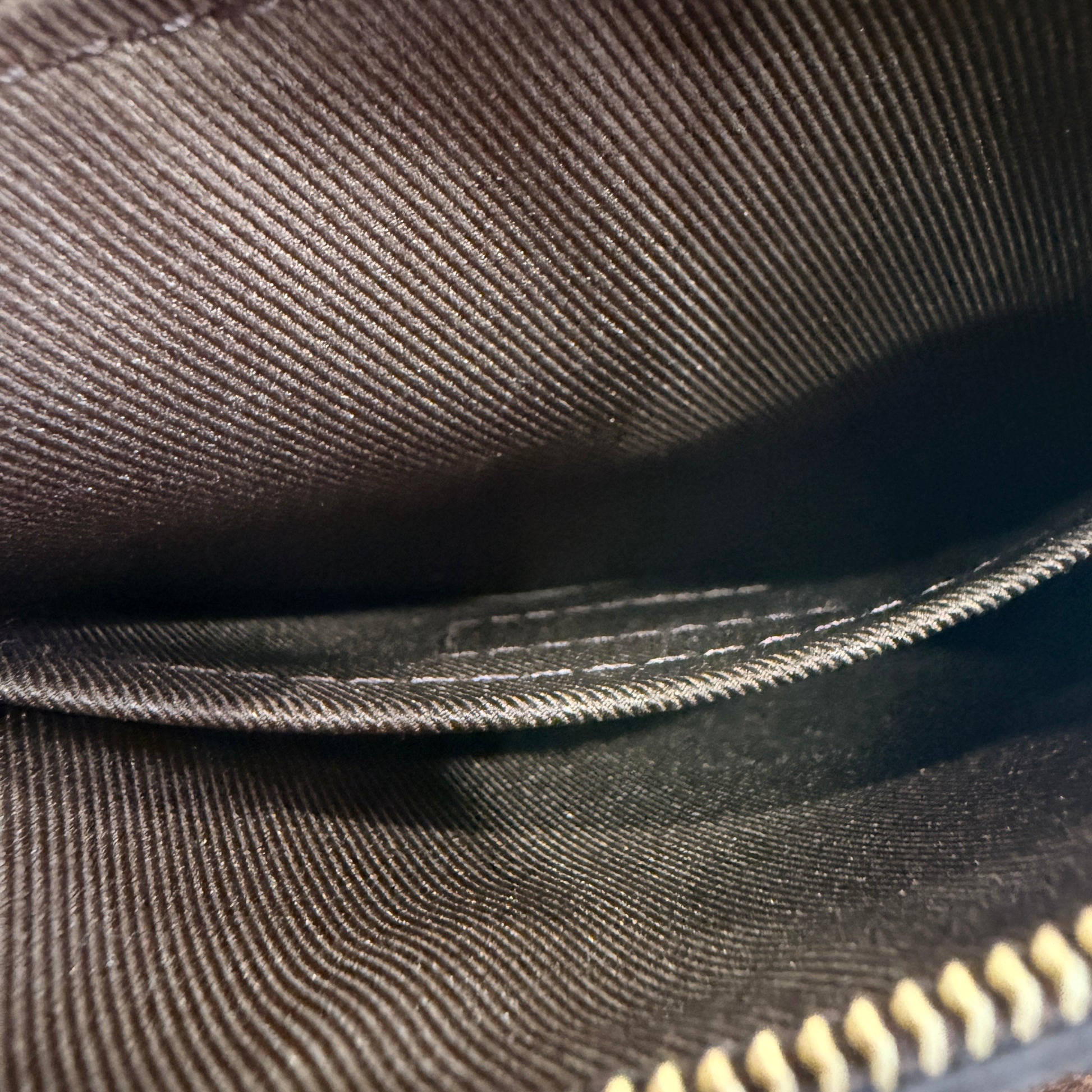 Louis Vuitton Loop Hobo Bag Monogram