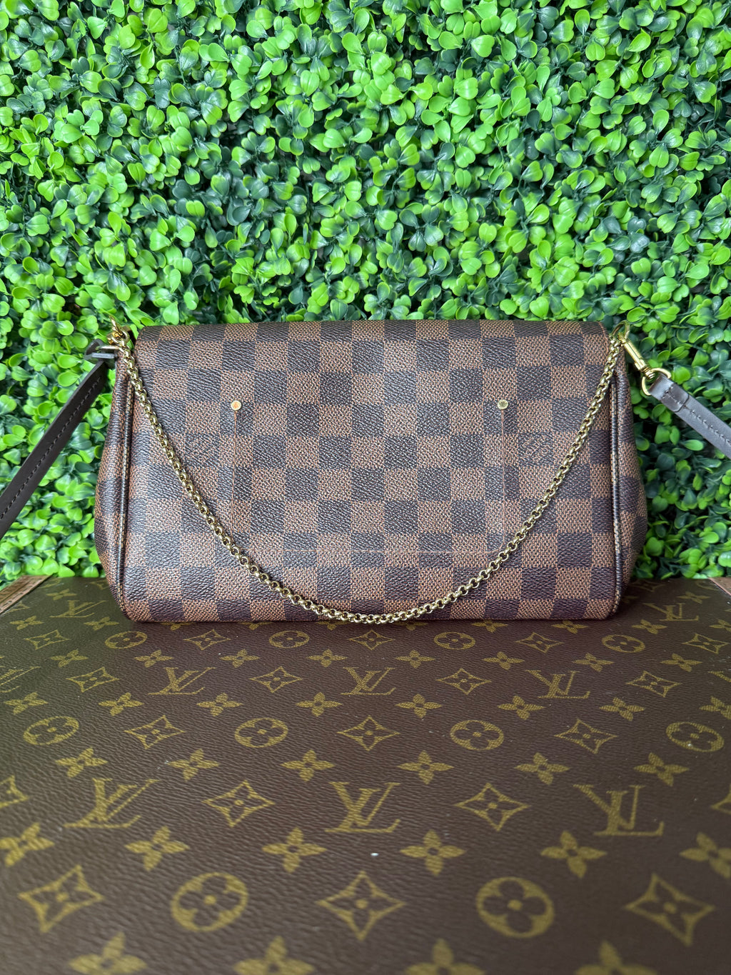 Louis Vuitton Favorite MM Monogram