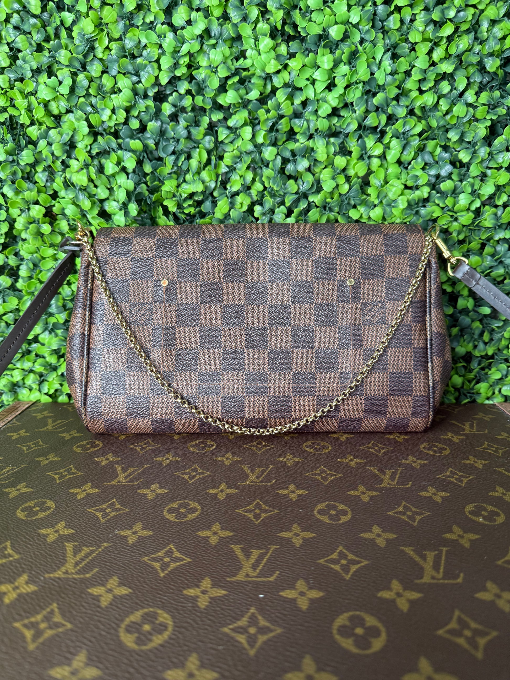 Louis Vuitton Favorite MM Monogram