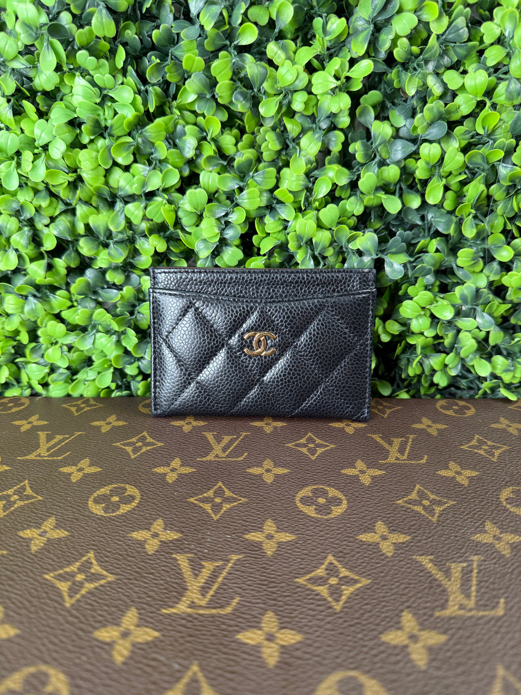 Chanel Caviar Cardholder