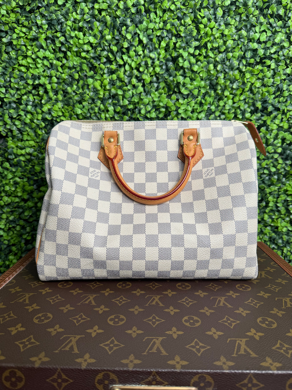 Louis Vuitton Speedy 30 Azur