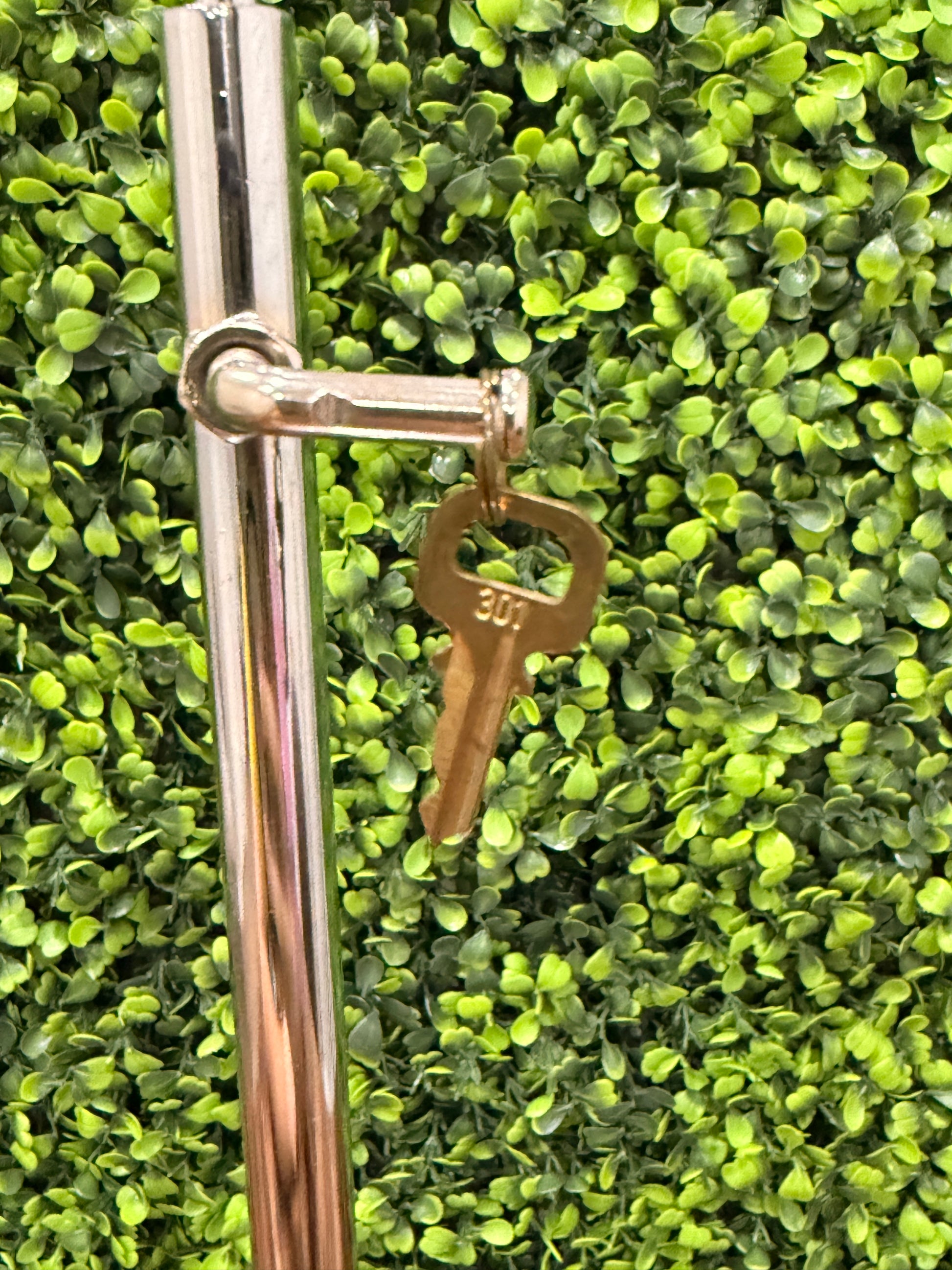 Louis Vuitton Key No.301