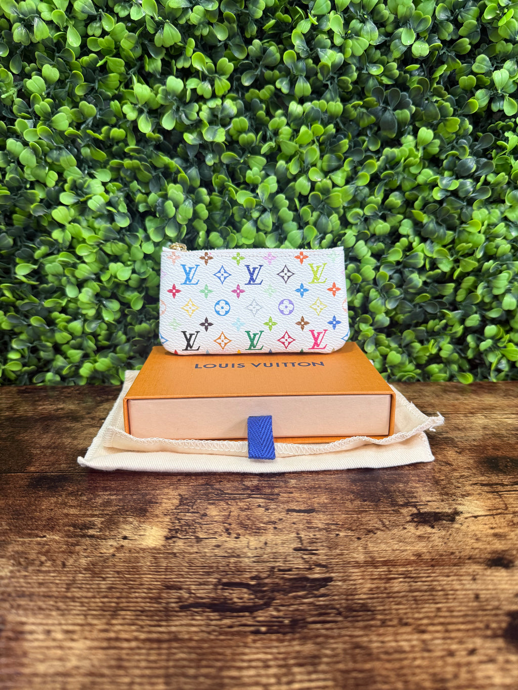 Louis Vuitton Pochette Cless Multicolor