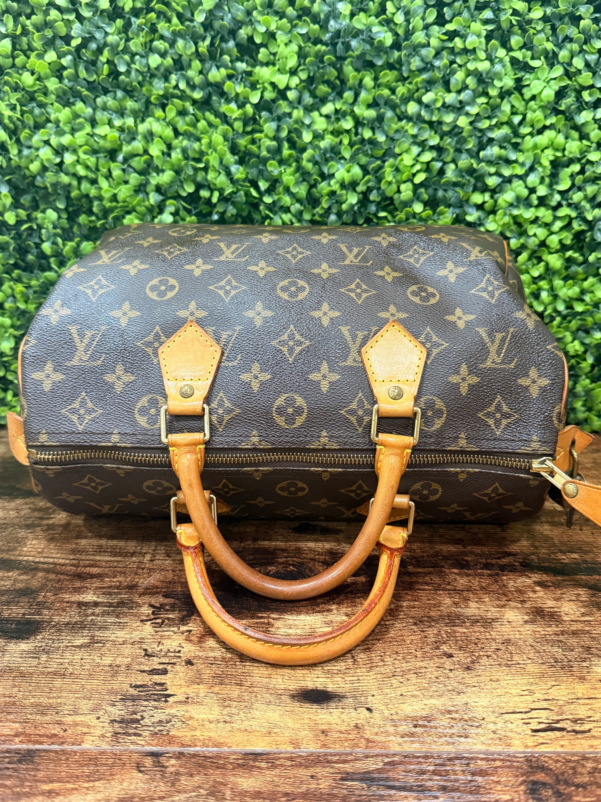Louis Vuitton Speedy 30 Monogram