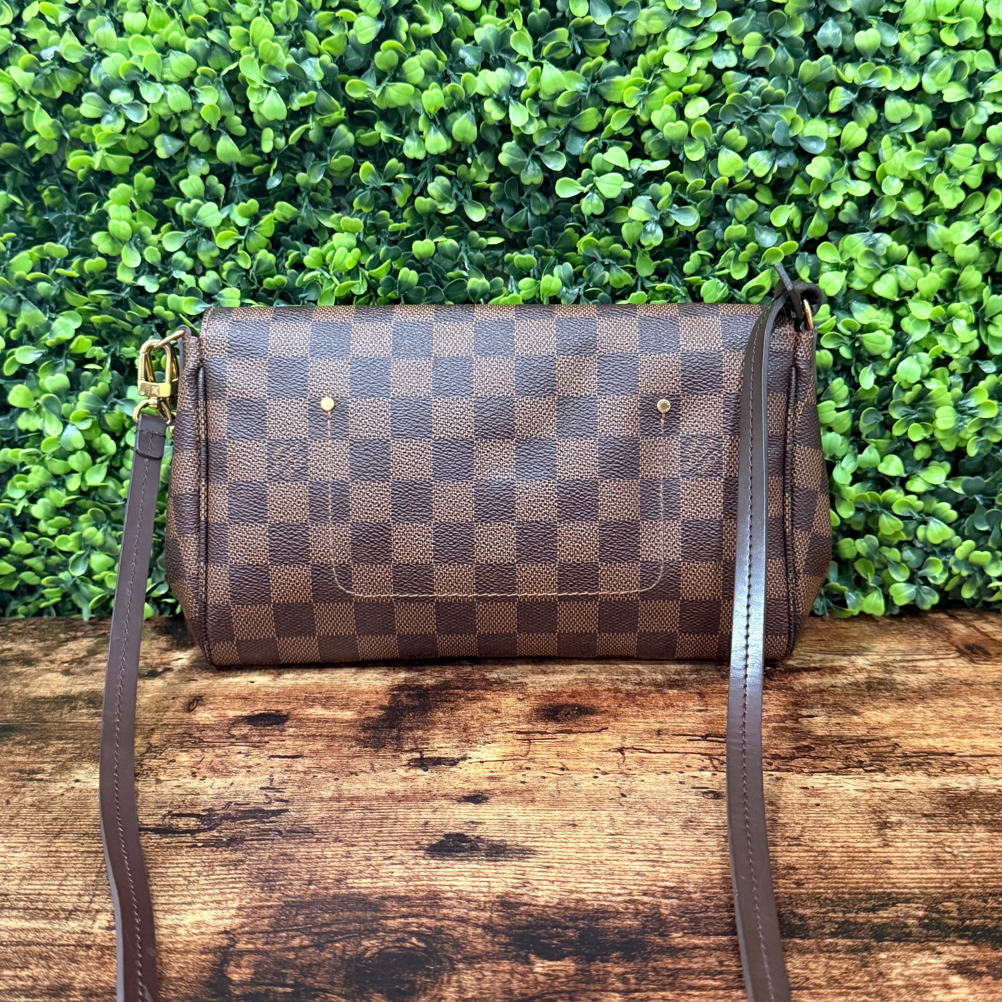 Louis Vuitton Favorite MM Damier Ebene