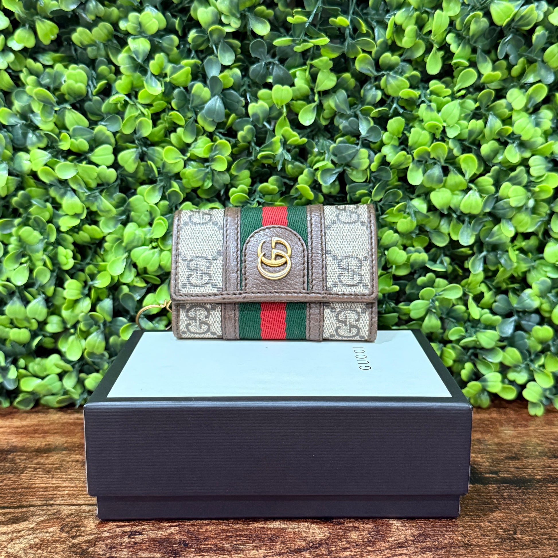 Gucci Key Cless Canva