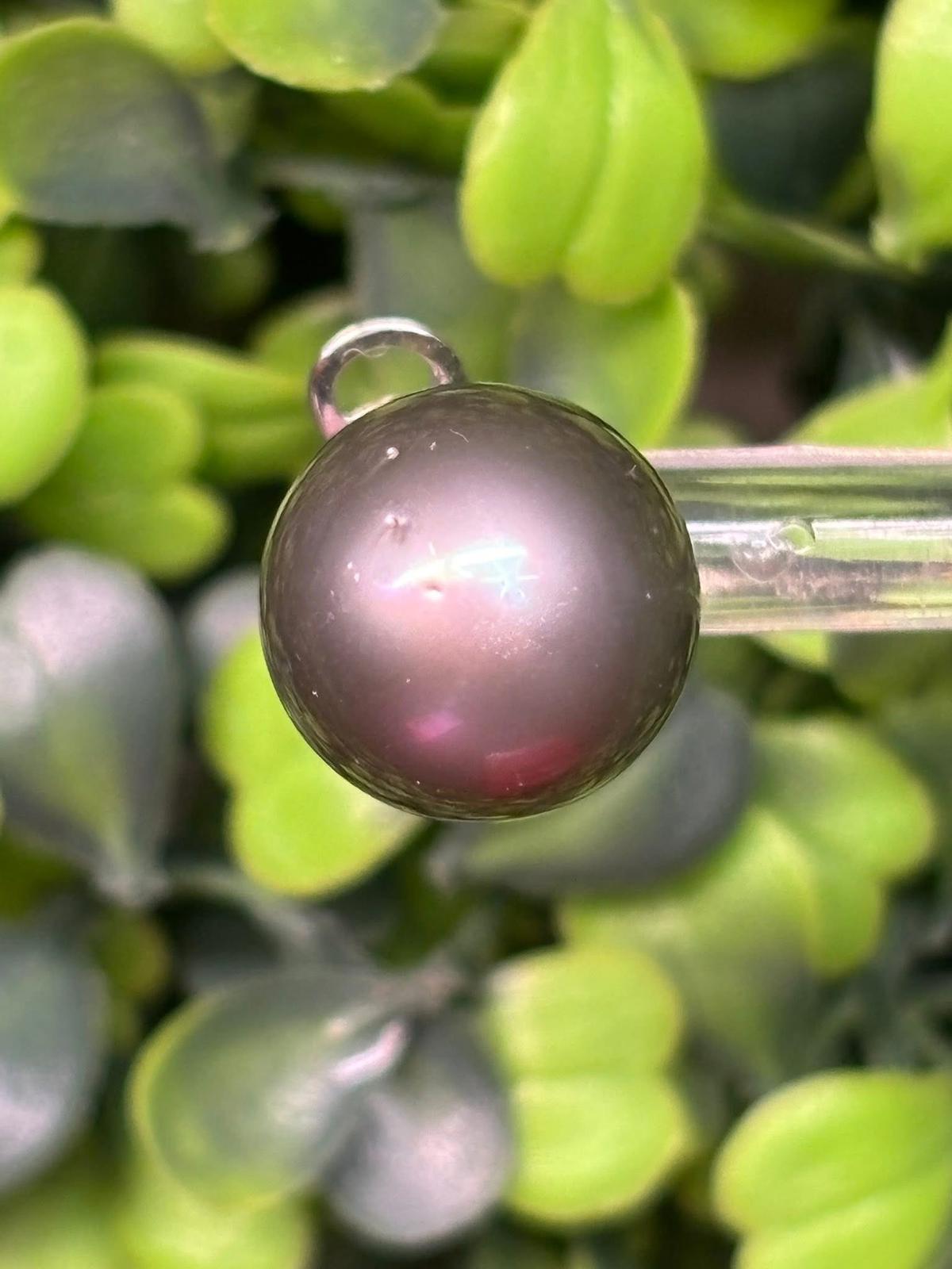 Earrings Real Grey Pearls