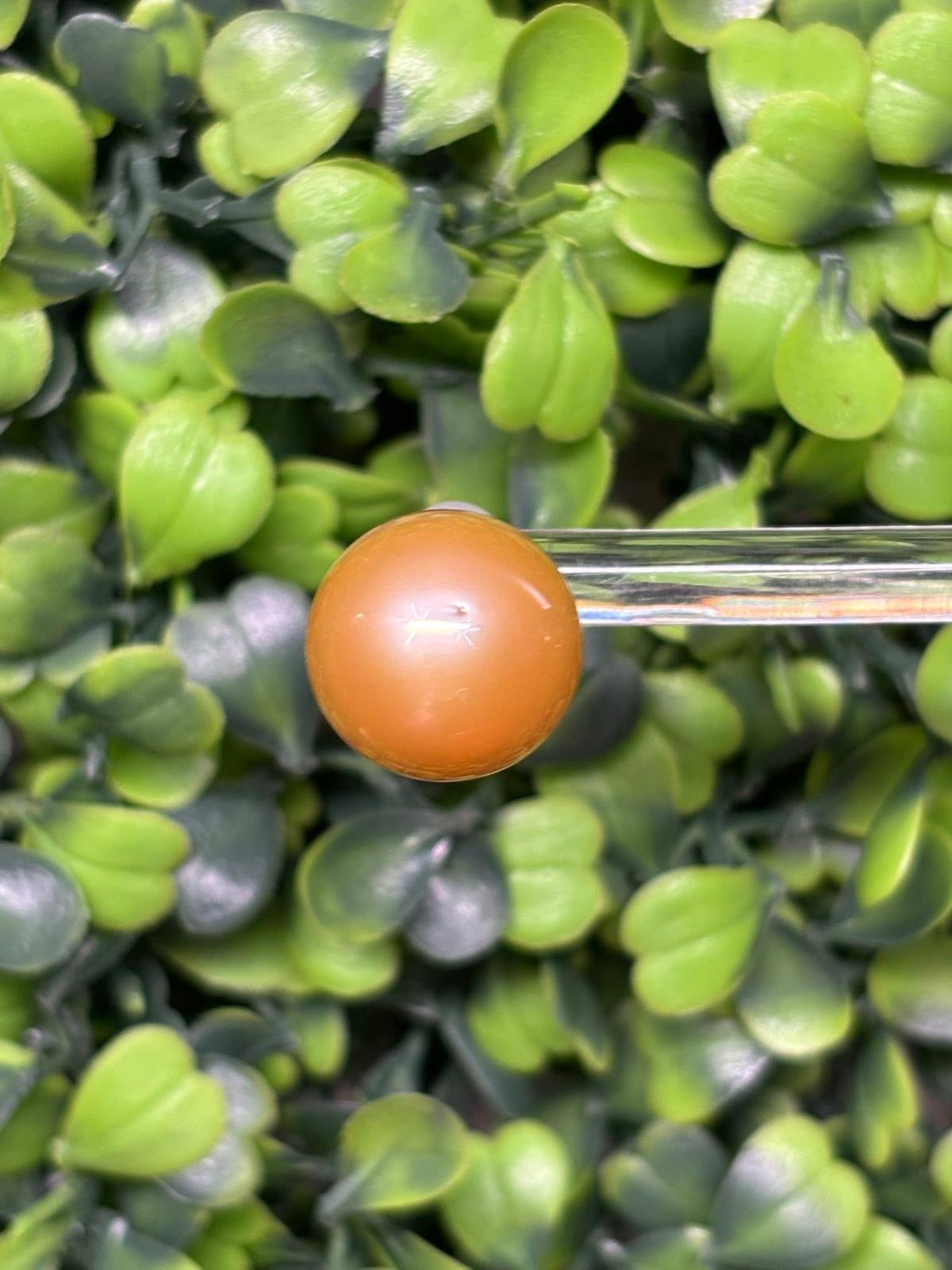 Earrings Real Yellow Pearls
