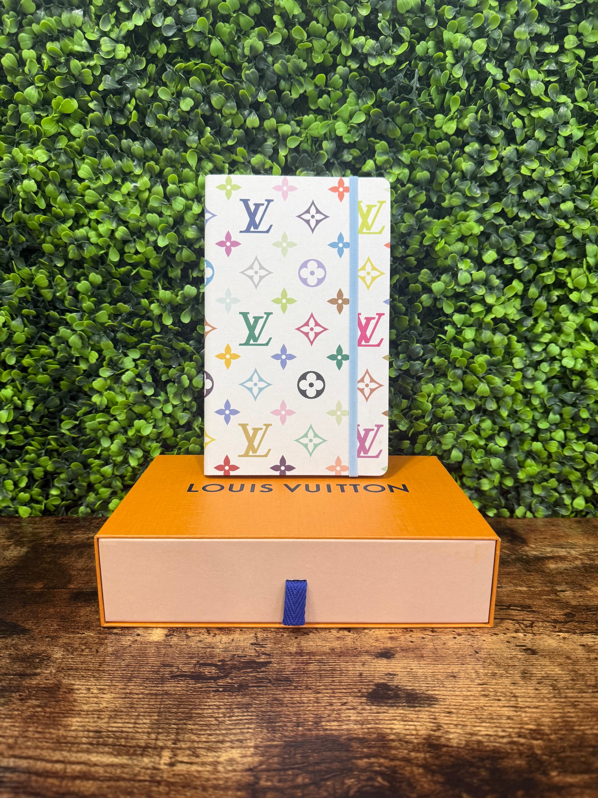 Louis Vuitton Jane MM Multicolor