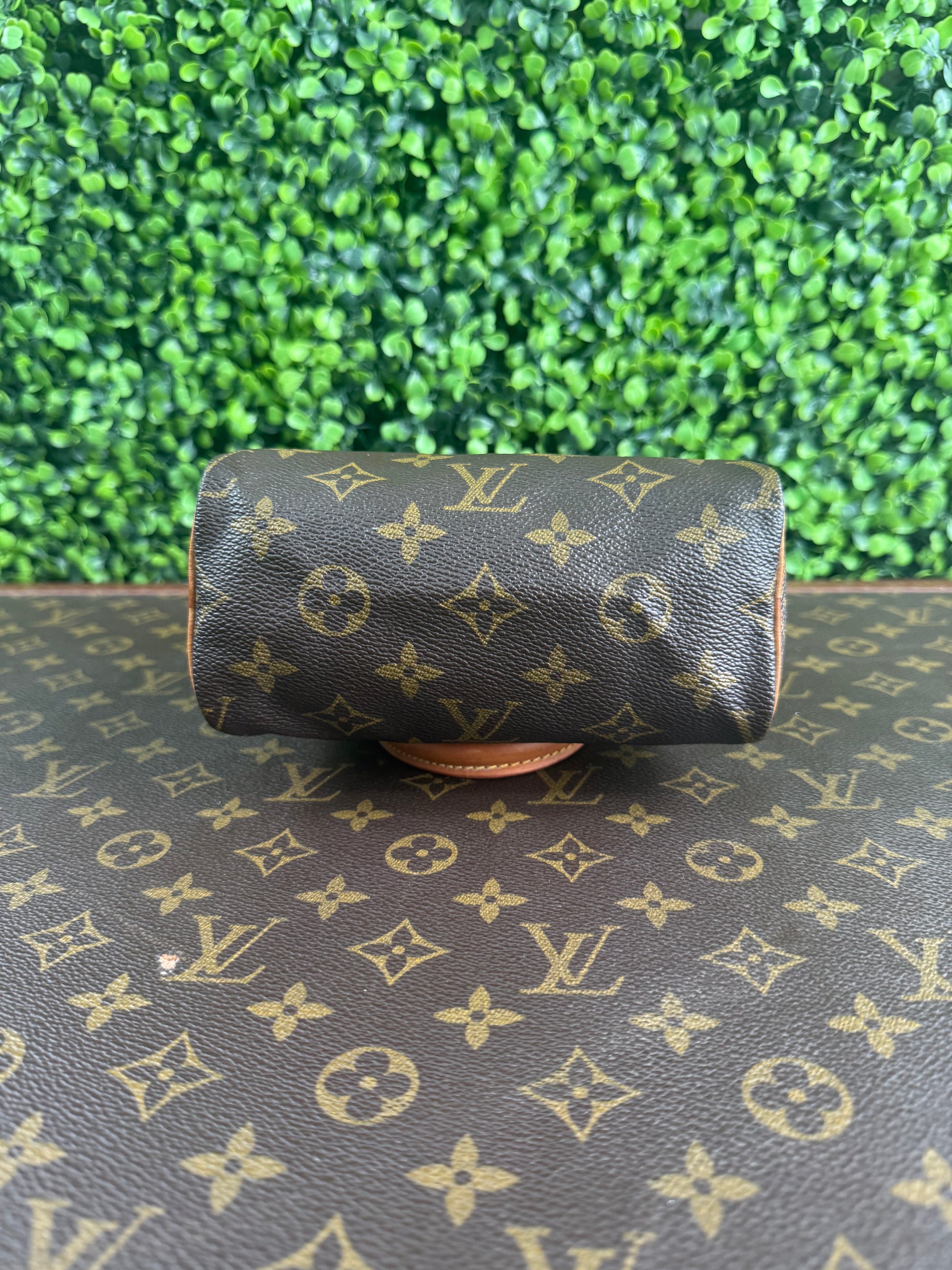 Louis Vuitton Nano Speedy Monogram