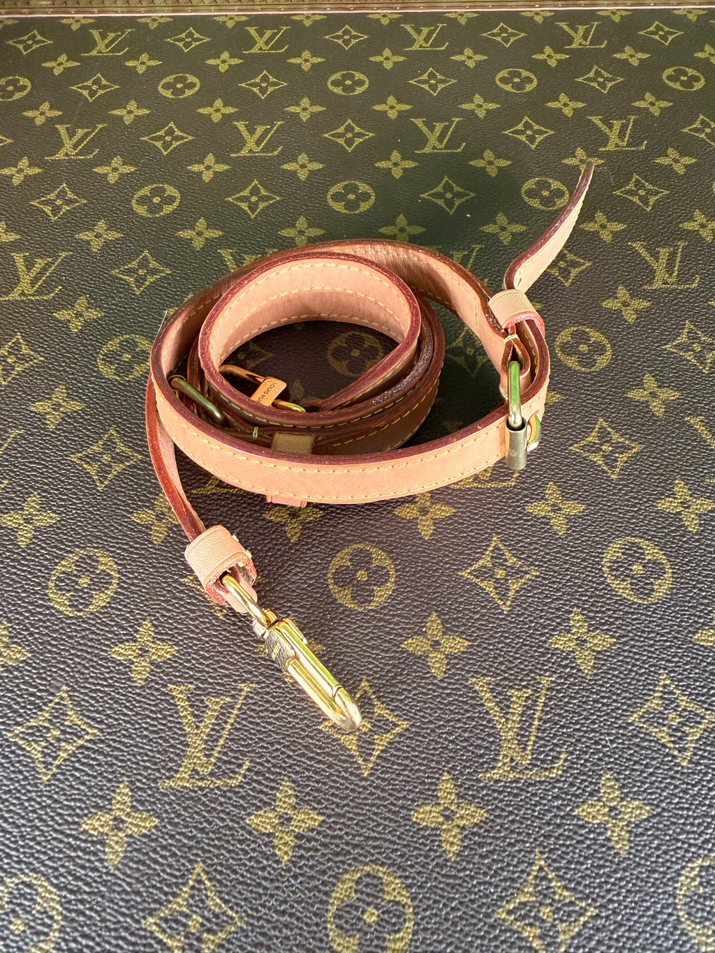 Louis Vuitton Speedy 25 Azur Bandolier