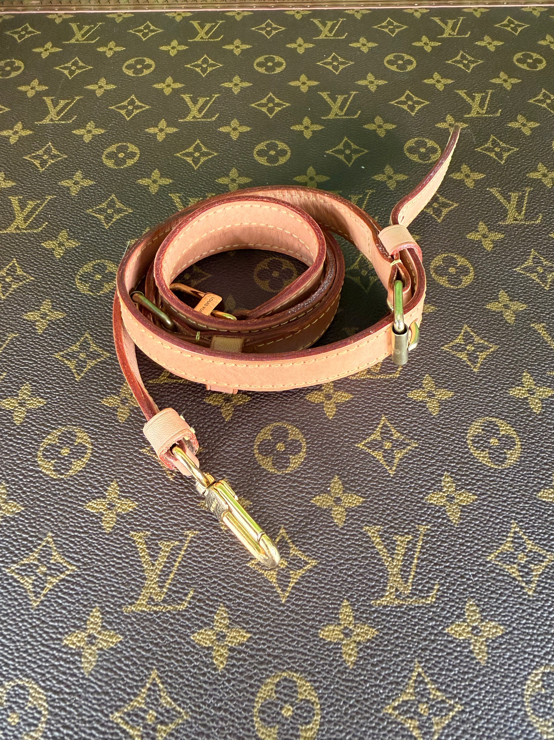 Louis Vuitton Speedy 25 Azur Bandolier