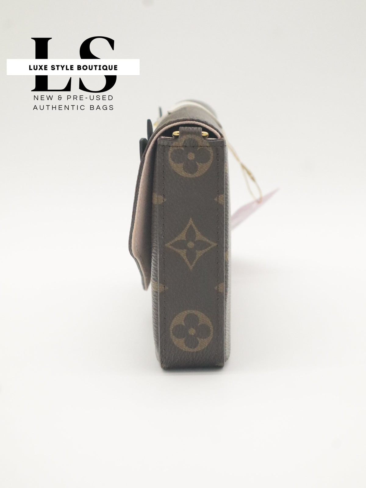 Louis Vuitton Pochette Felicie Owl Monogram