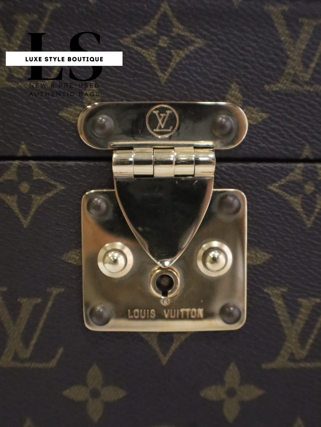 Louis Vuitton Monogram Leather Vanity Case