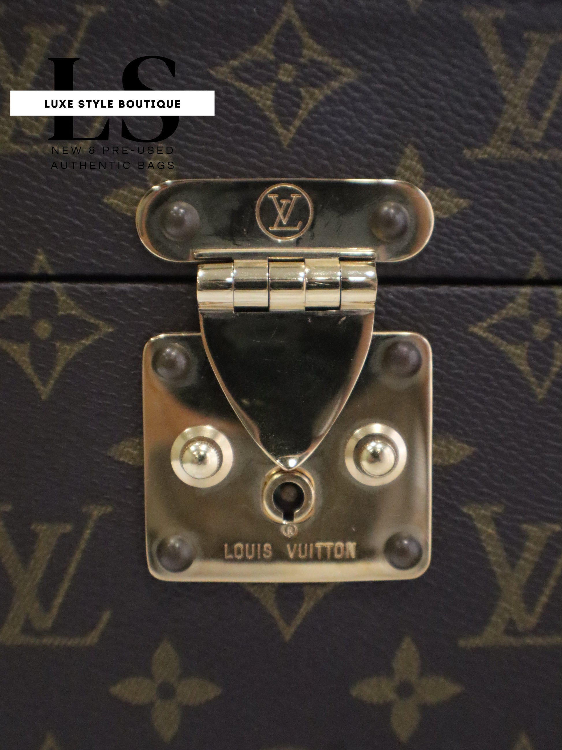 Louis Vuitton Monogram Leather Vanity Case