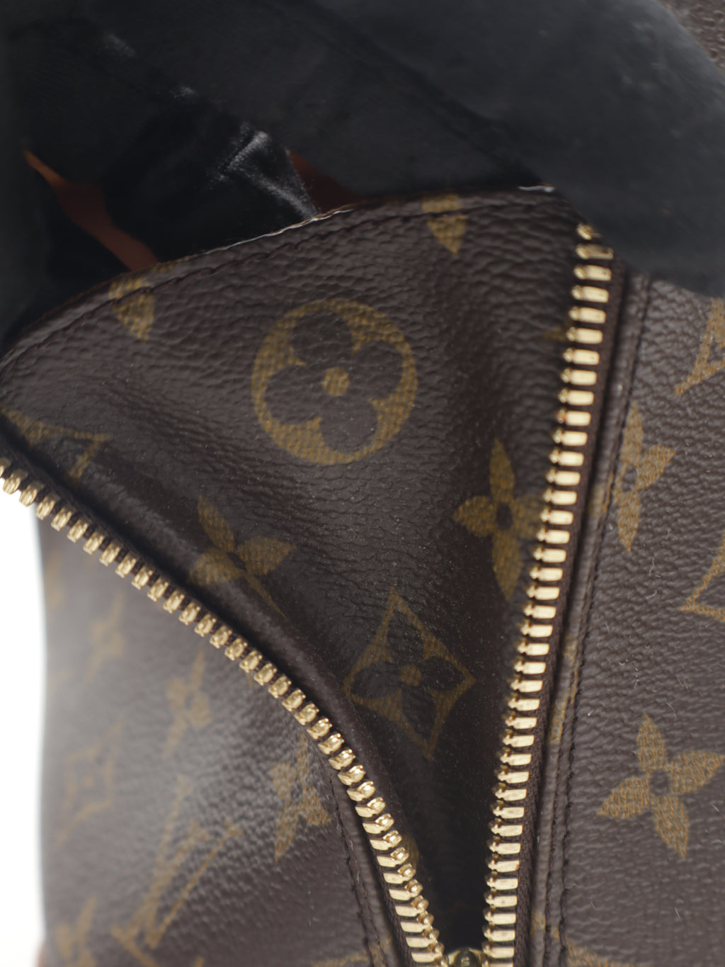 Louis Vuitton Alma PM Monogram