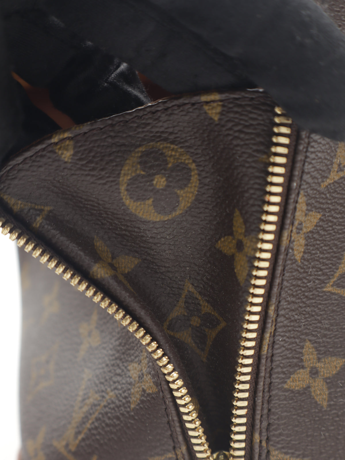 Louis Vuitton Alma PM Monogram