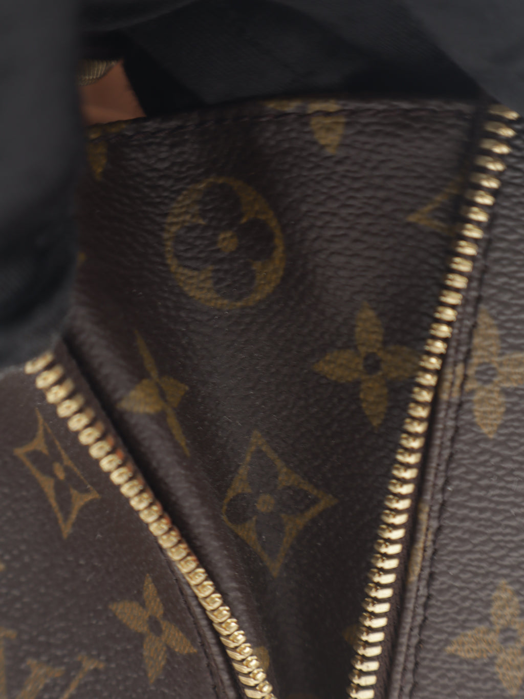 Louis Vuitton Alma PM Monogram