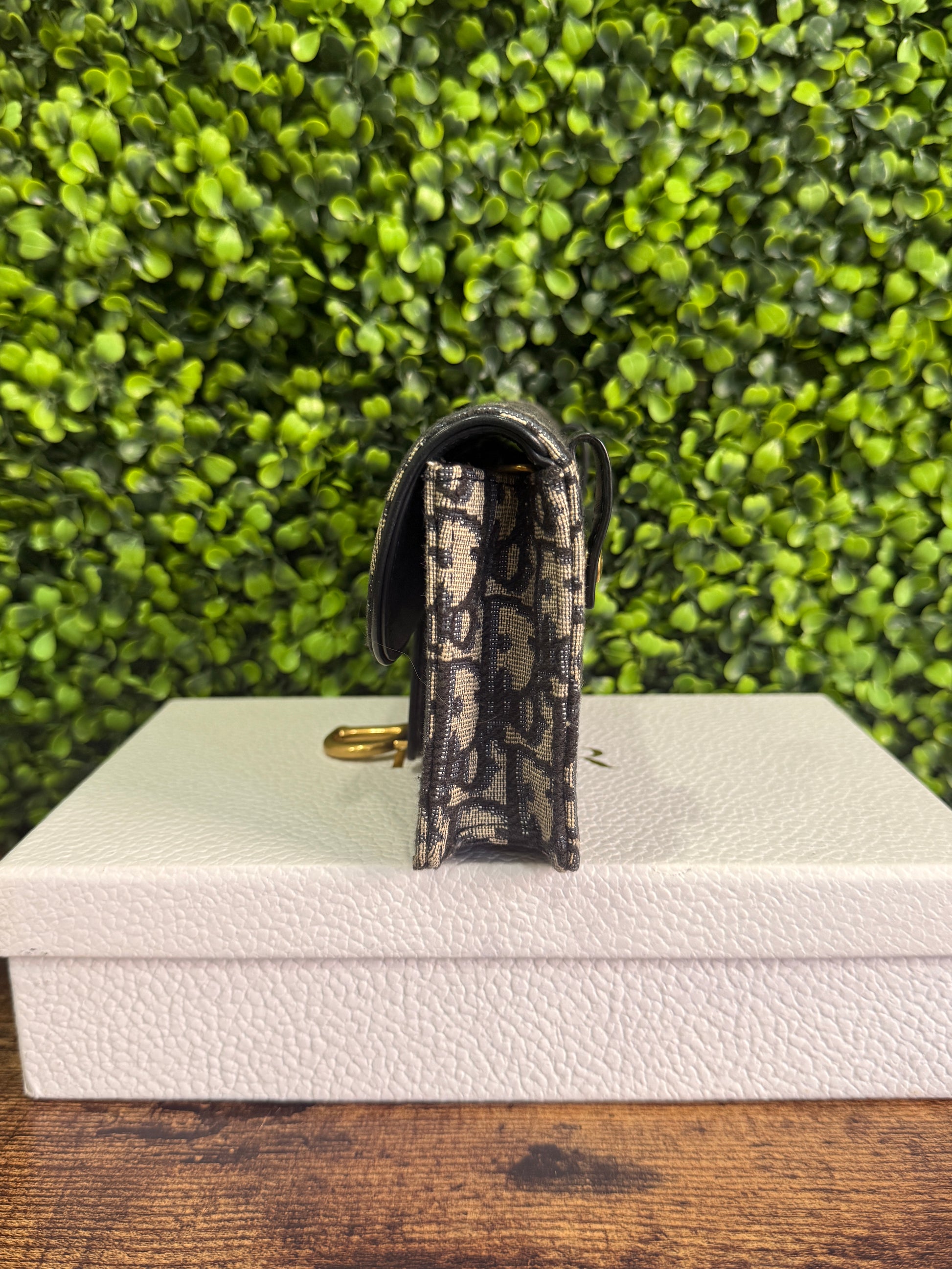 Dior Saddle Oblique Pouch