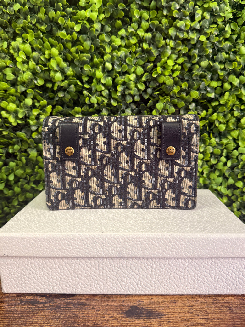 Dior Saddle Oblique Pouch