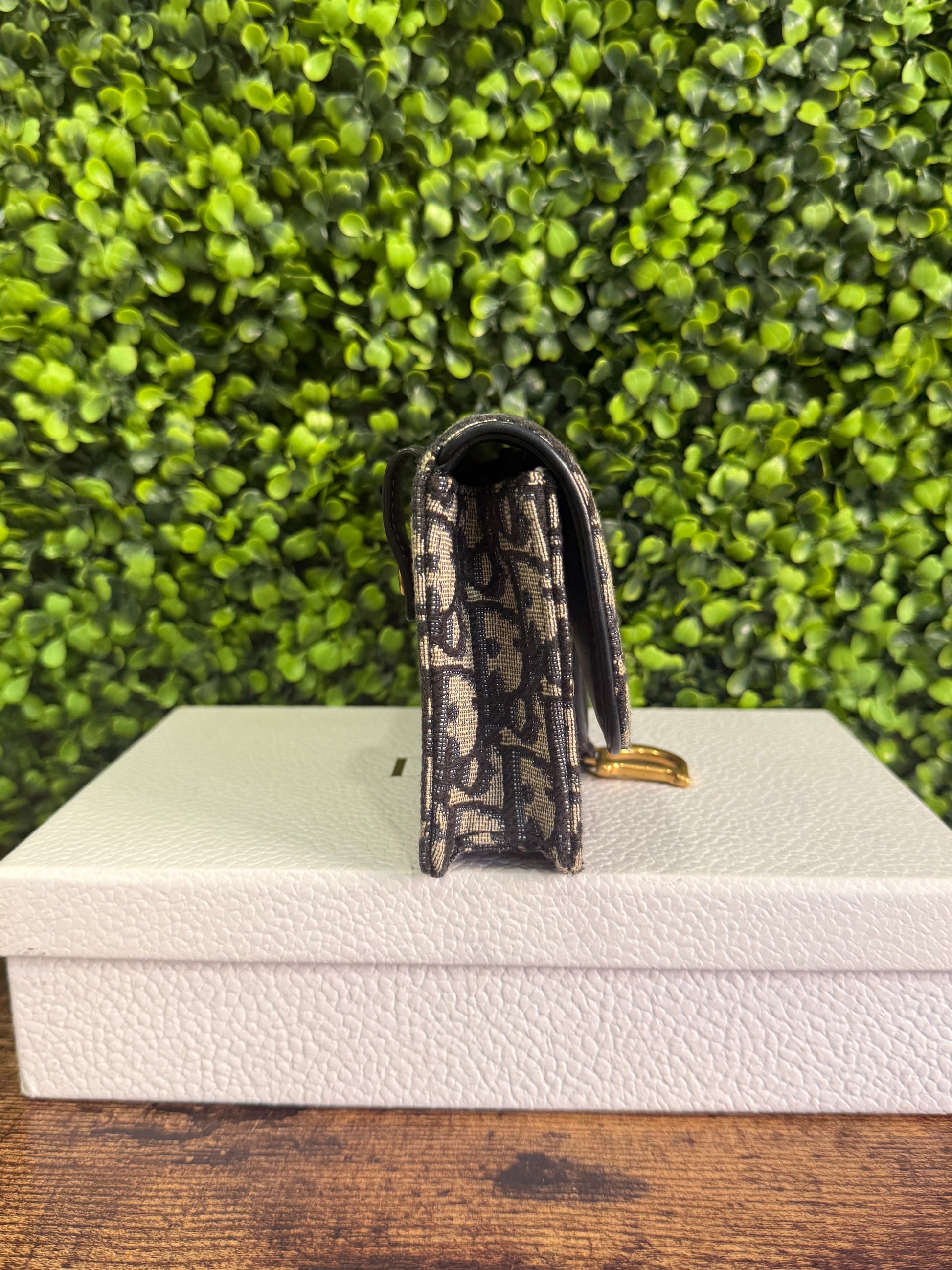 Dior Saddle Oblique Pouch