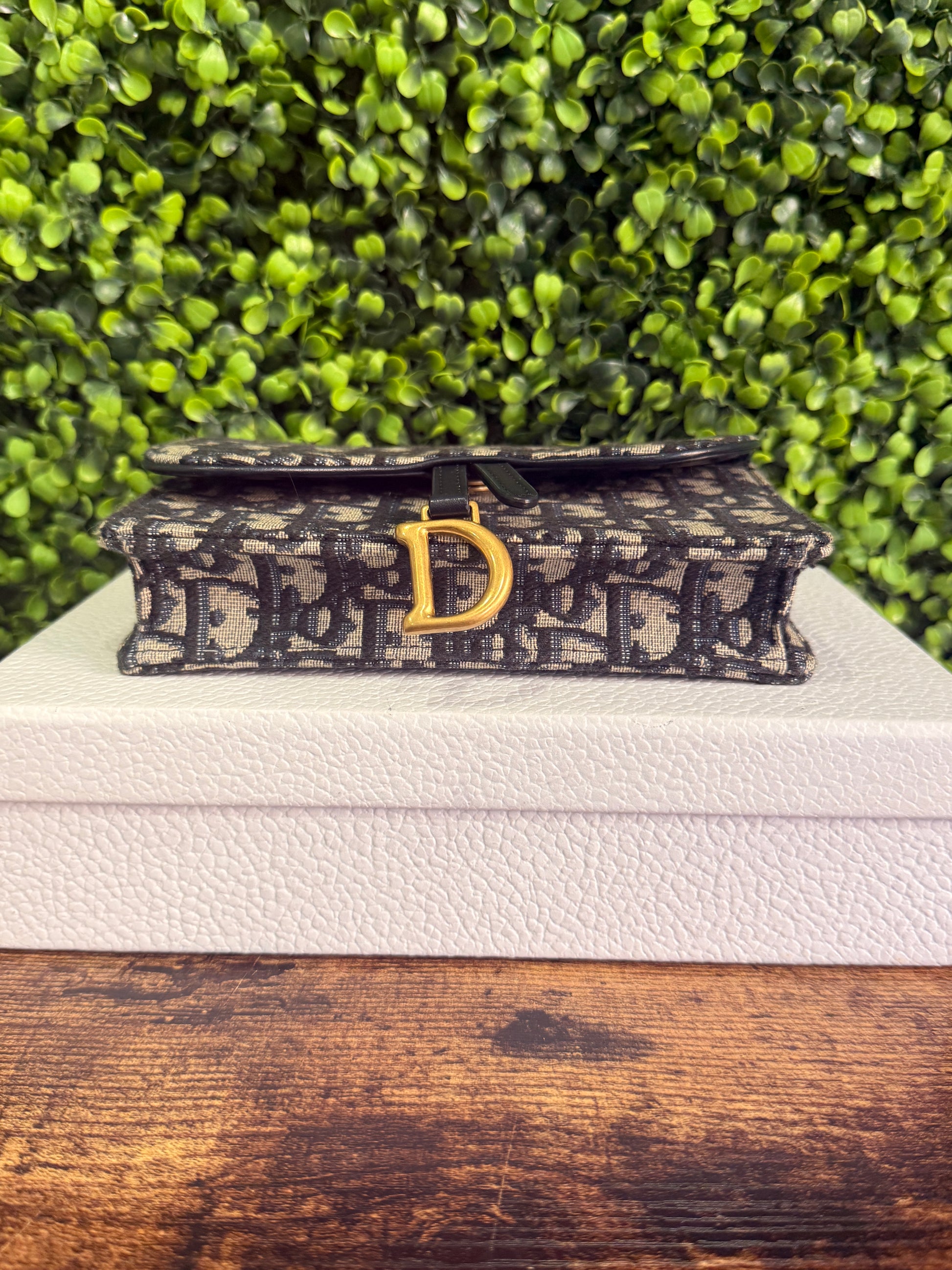 Dior Saddle Oblique Pouch