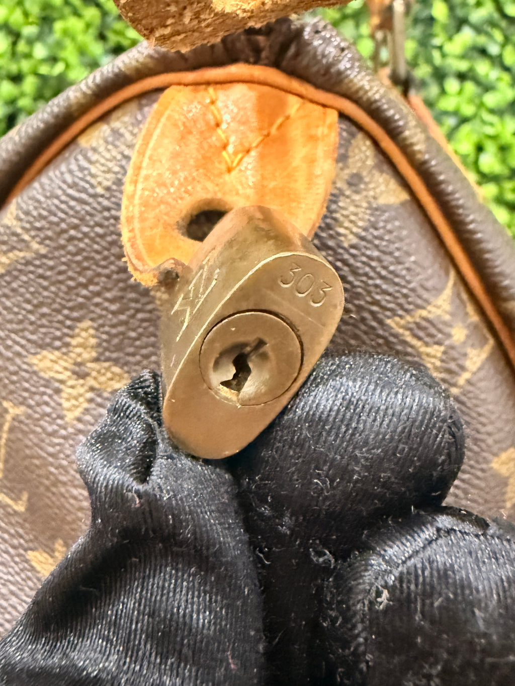 Louis Vuitton Monogram Speedy 30