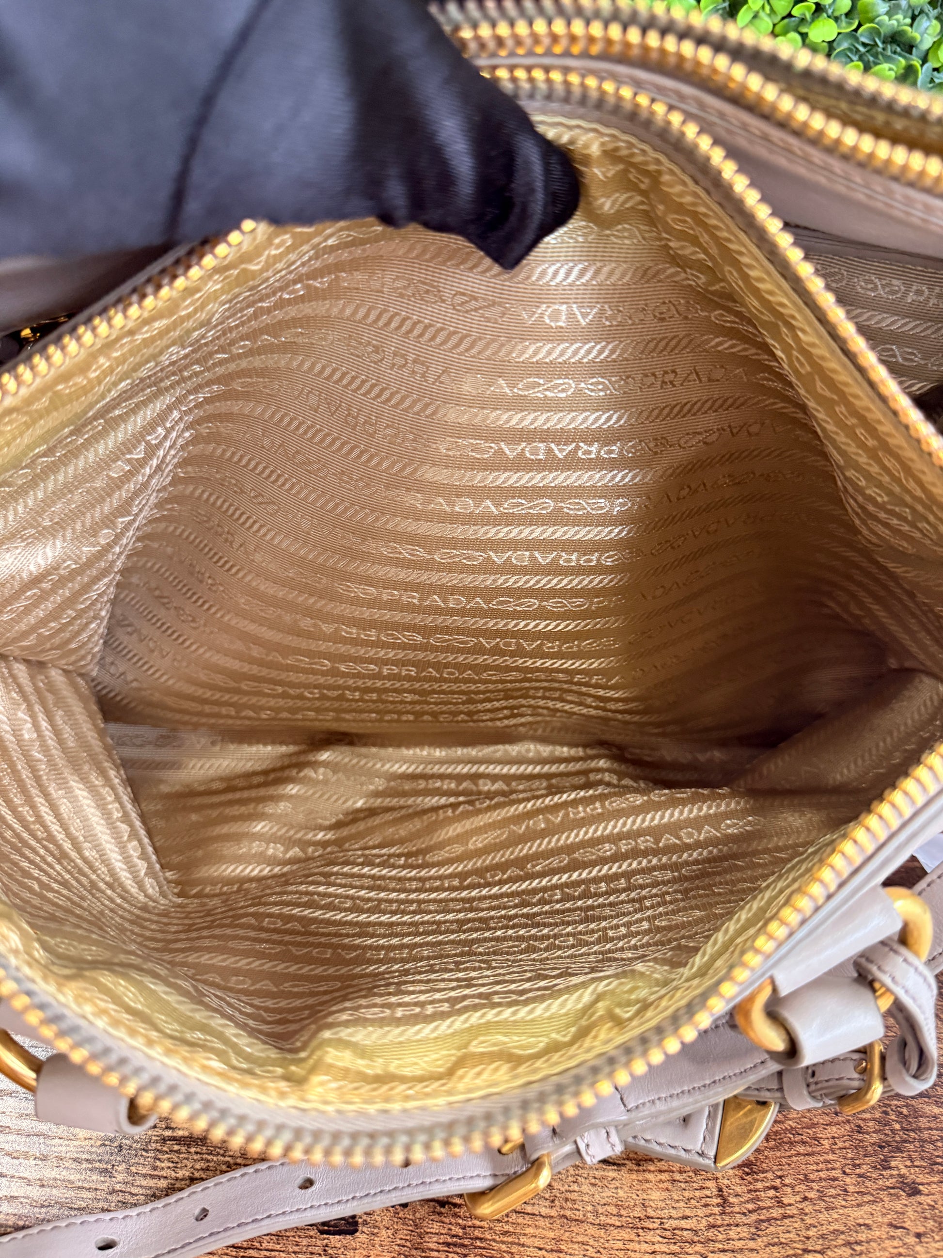 Prada Beige Vitello Daino