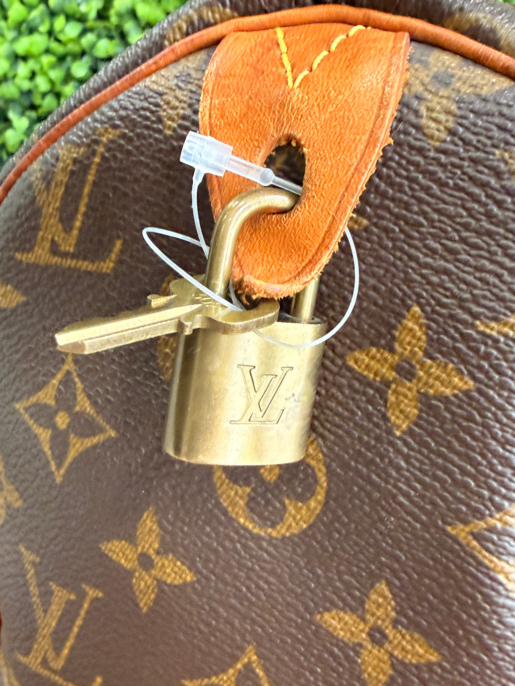 Louis Vuitton Monogram Speedy 30