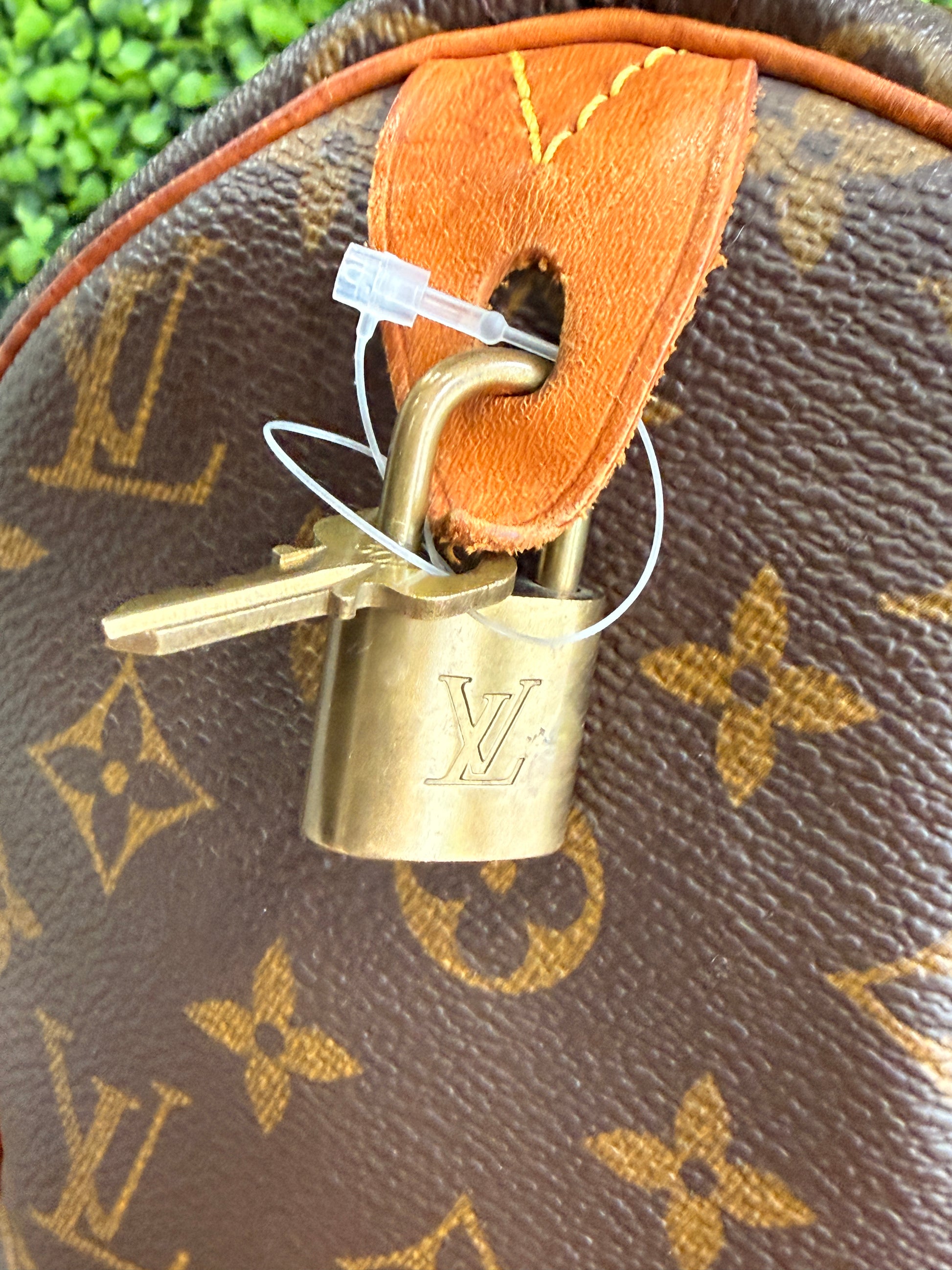 Louis Vuitton Monogram Speedy 30