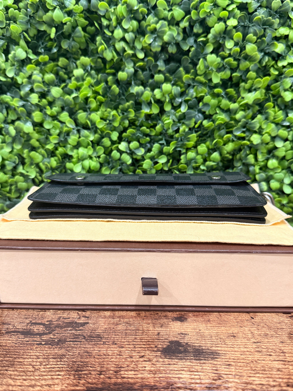 Louis Vuitton Damier Graphite Accordion Wallet
