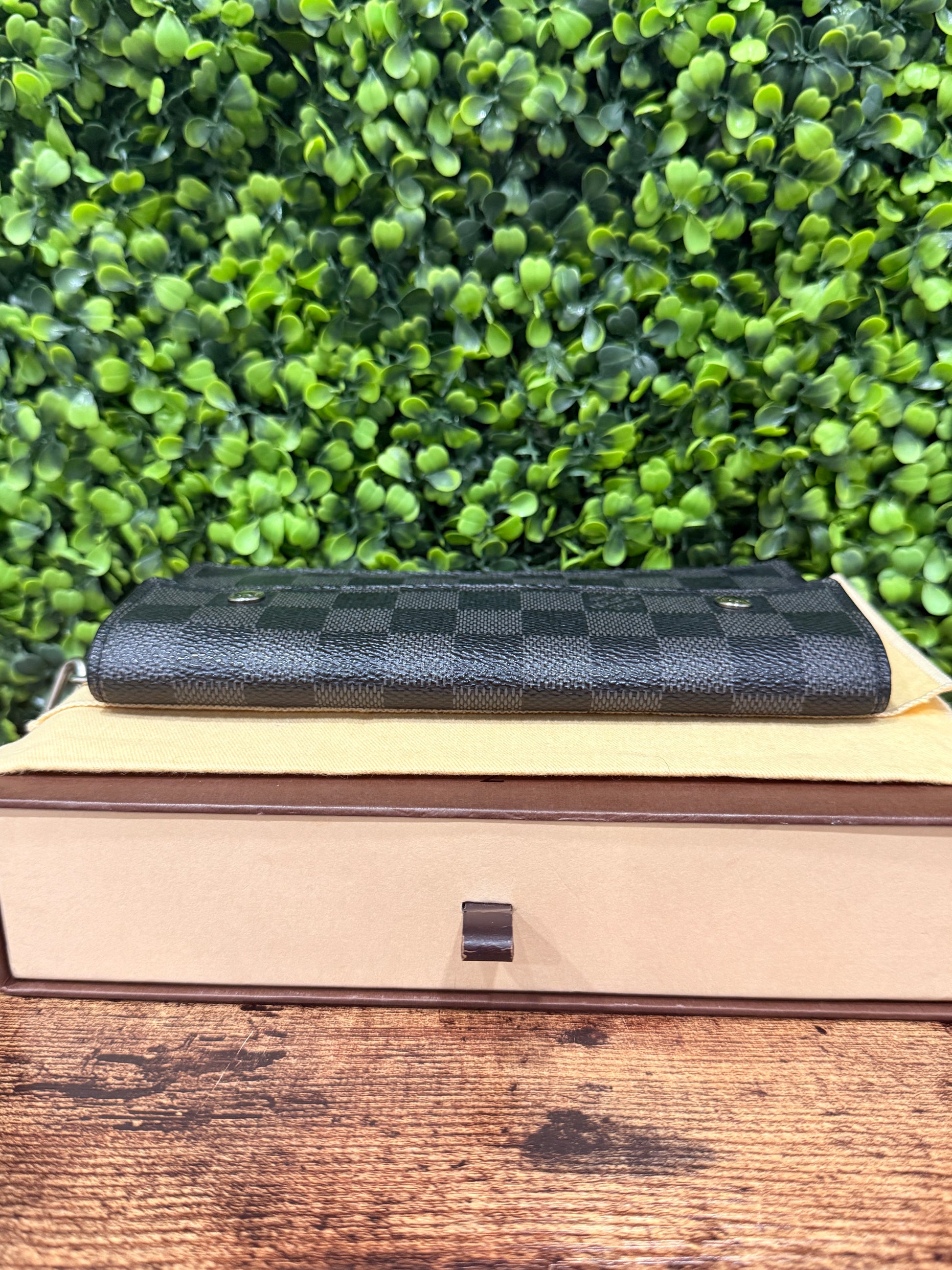 Louis Vuitton Damier Graphite Accordion Wallet