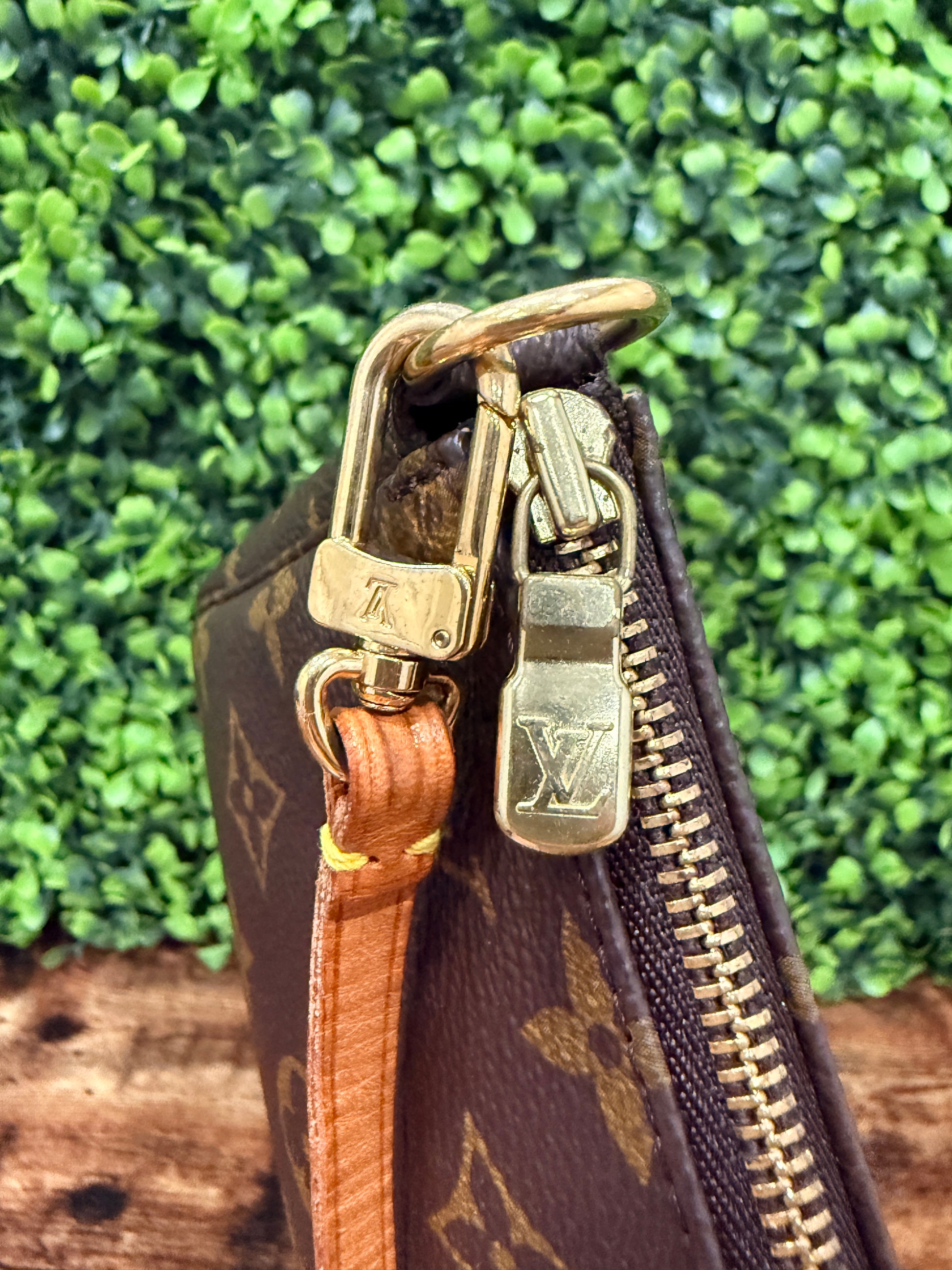 Louis Vuitton Monogram Pochette Accessories