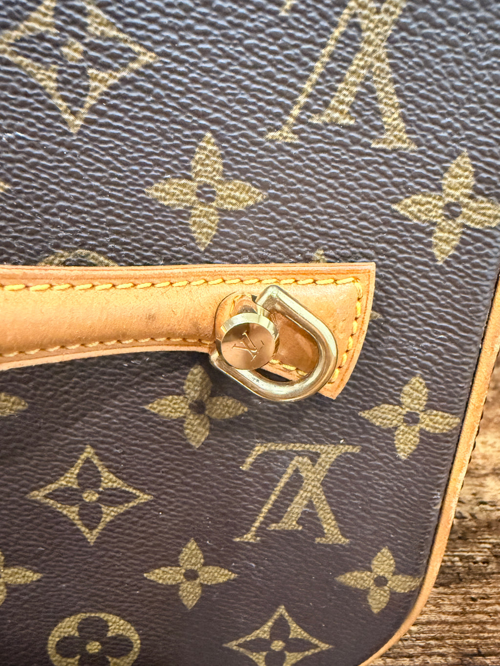 Louis Vuitton Monogram Nice Vanity Case