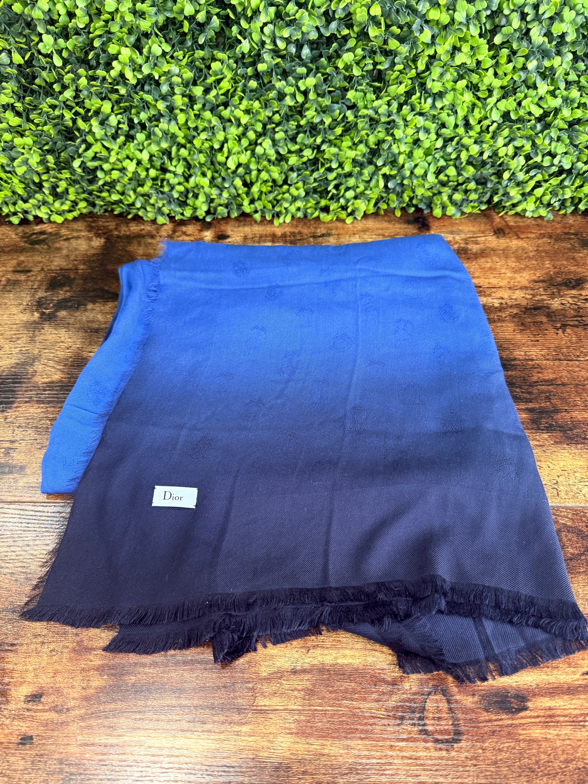 Dior Silk Lurex Scarf