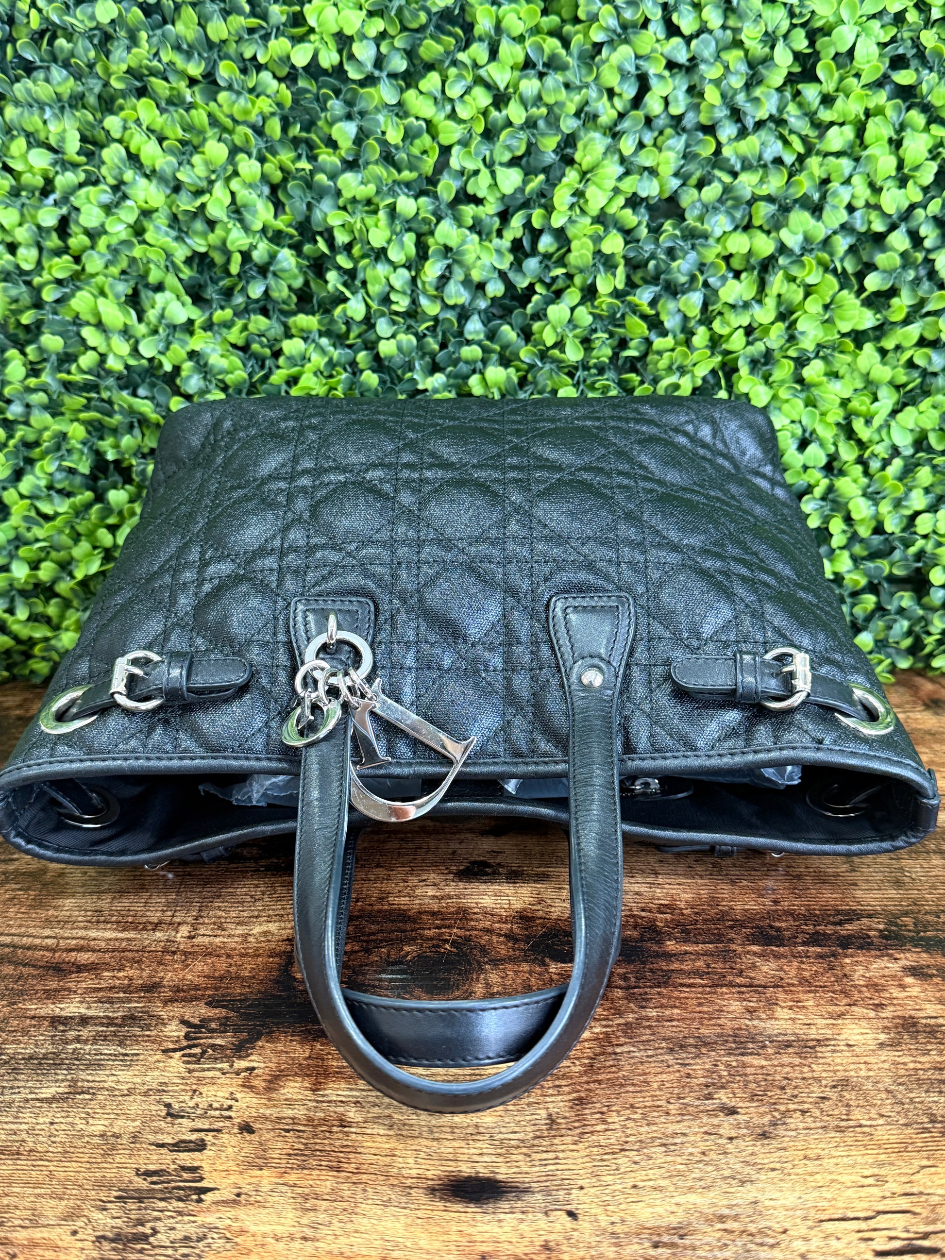 Dior Cannage Small Paranea Tote