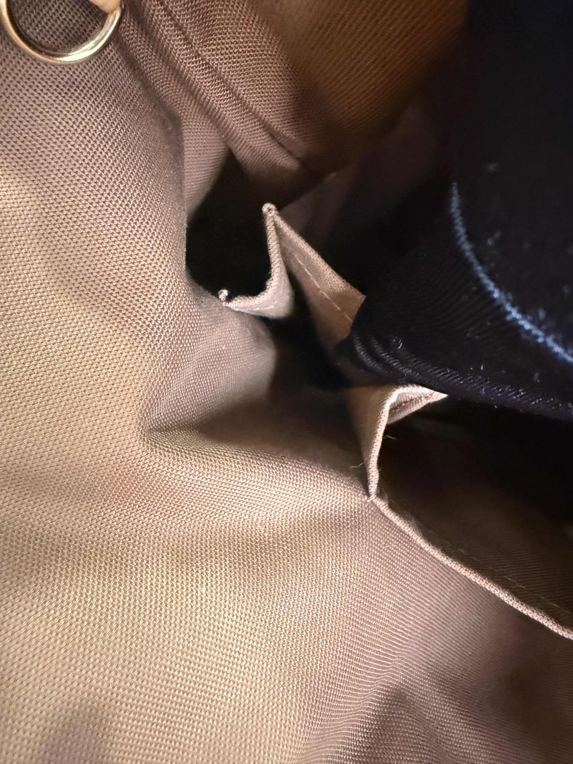 Louis Vuitton Monogram Palermo GM Tote