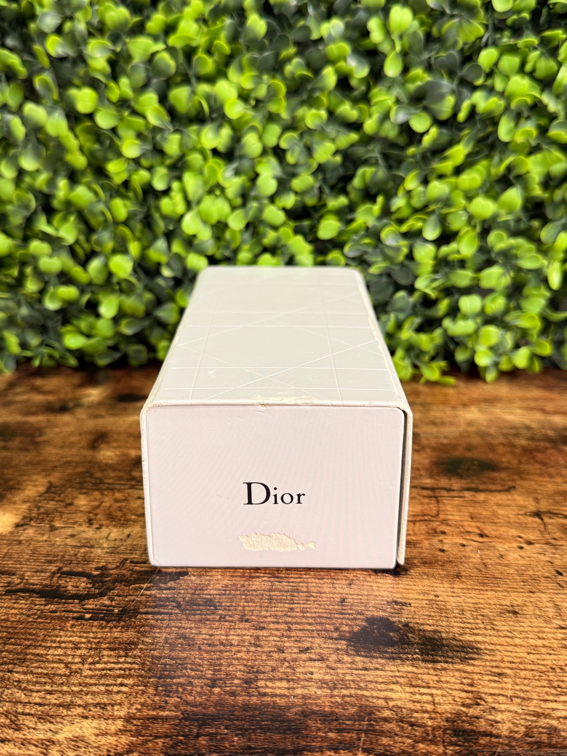 Dior DiorSymbol1 Woman Sunglasses 58*16 125