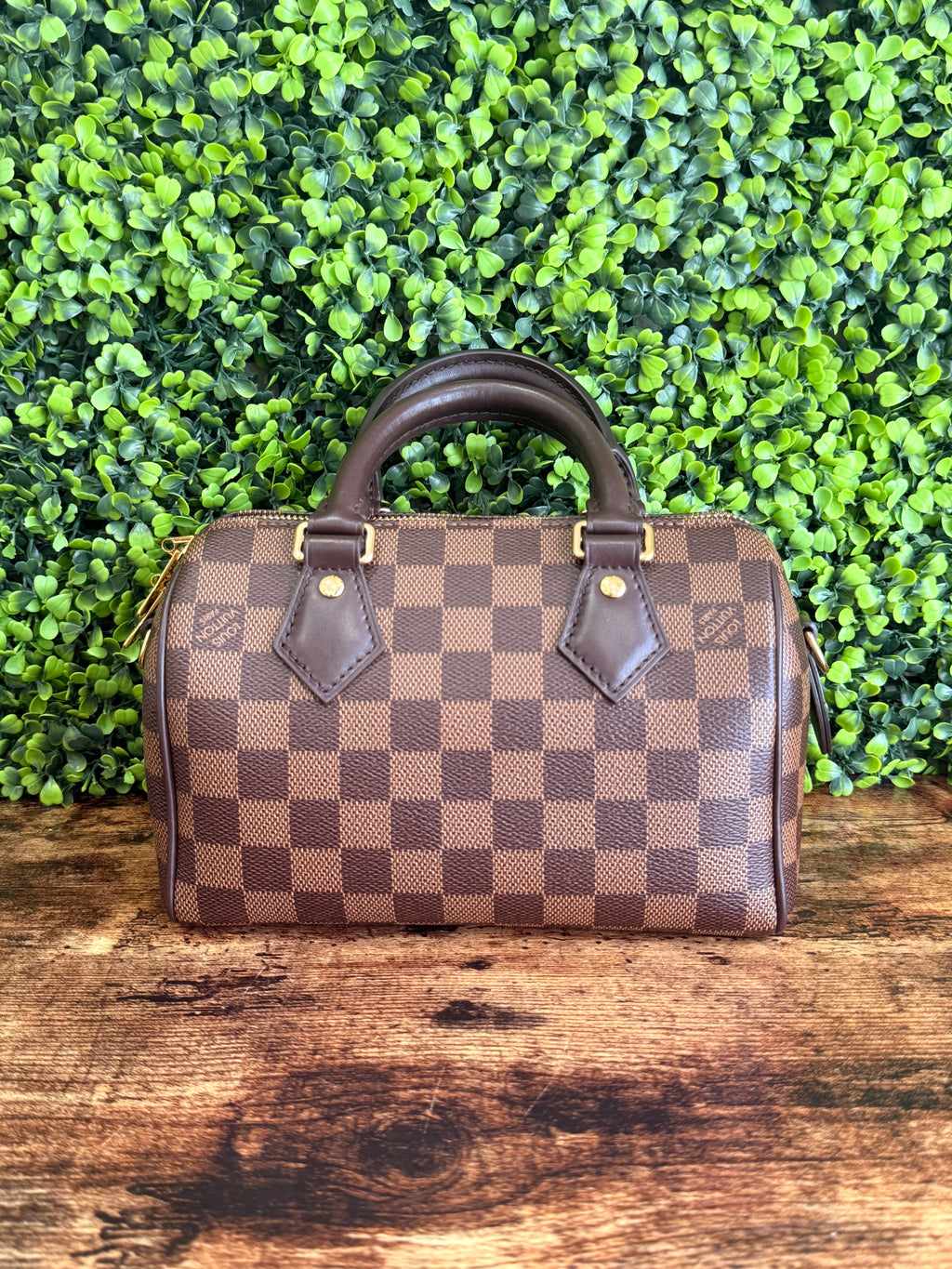 Louis Vuitton Speedy 20 Damier Ebene