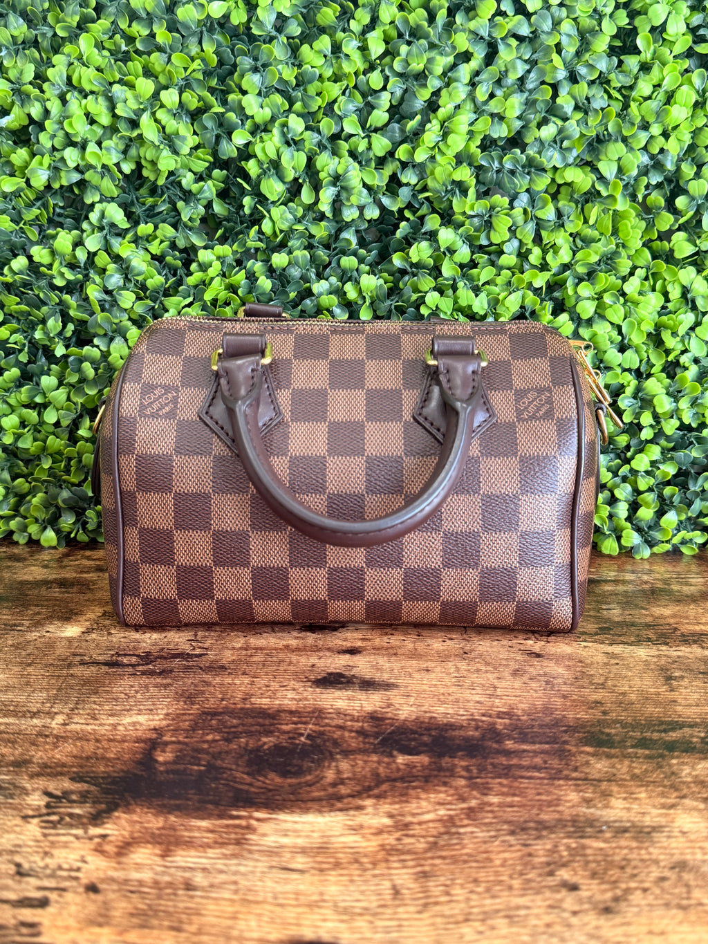 Louis Vuitton Speedy 20 Damier Ebene