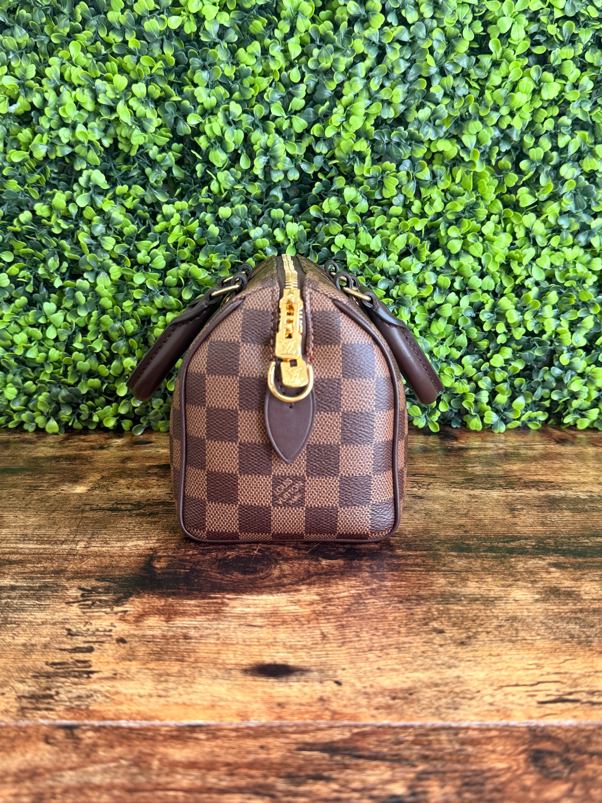 Louis Vuitton Speedy 20 Damier Ebene