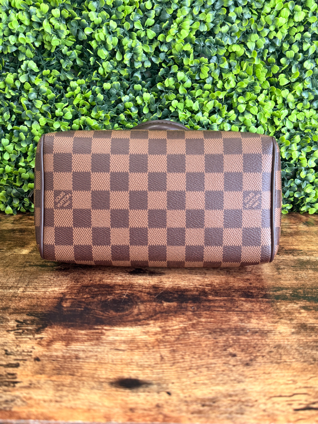 Louis Vuitton Speedy 20 Damier Ebene