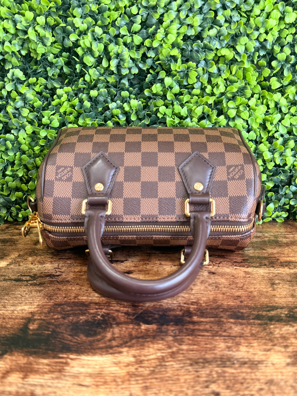Louis Vuitton Speedy 20 Damier Ebene
