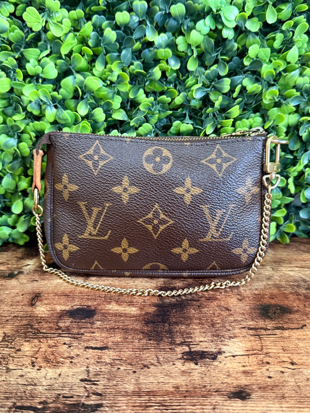 Louis Vuitton Monogram Pochette Accesoires Mini