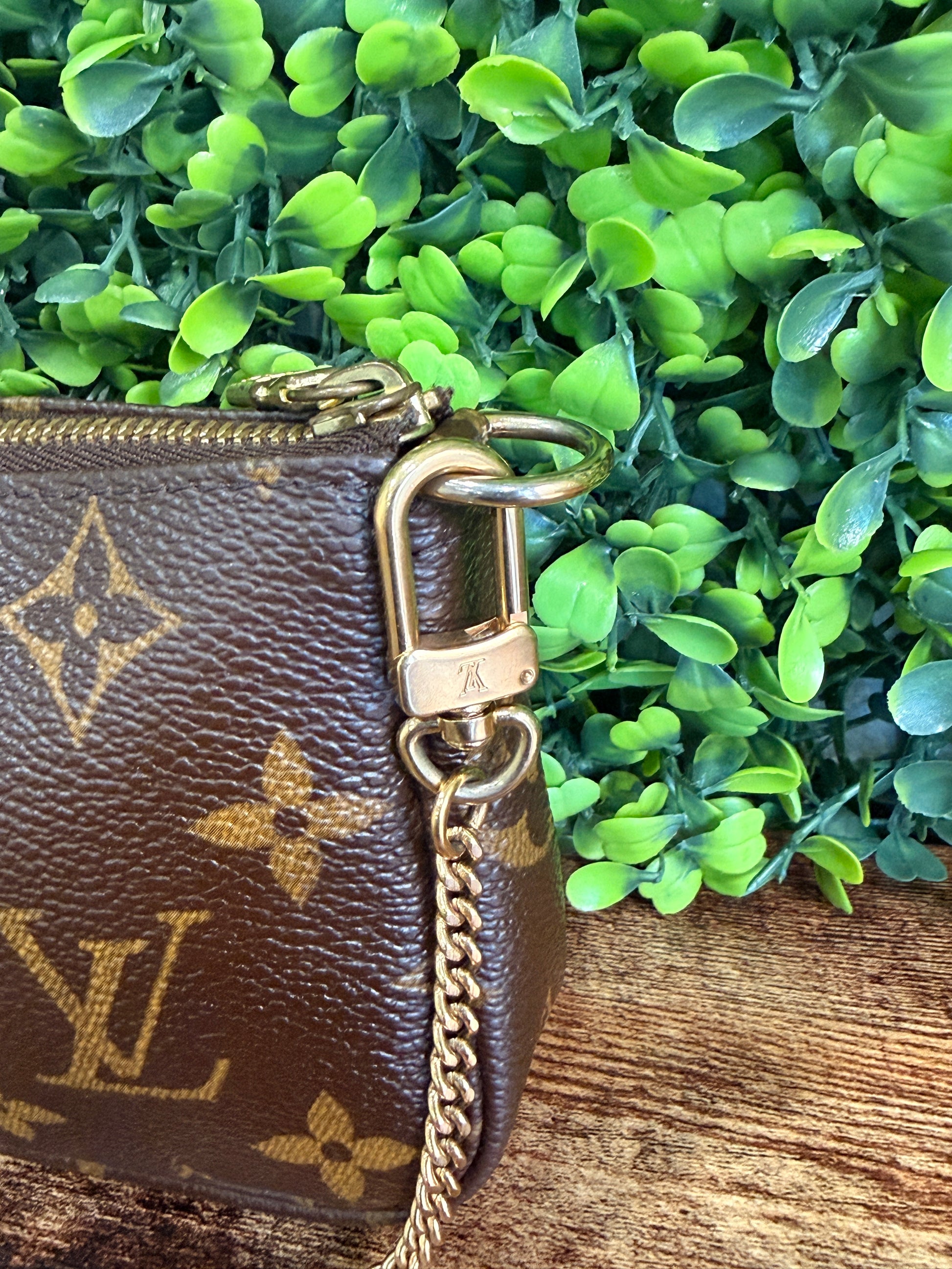 Louis Vuitton Monogram Pochette Accesoires Mini