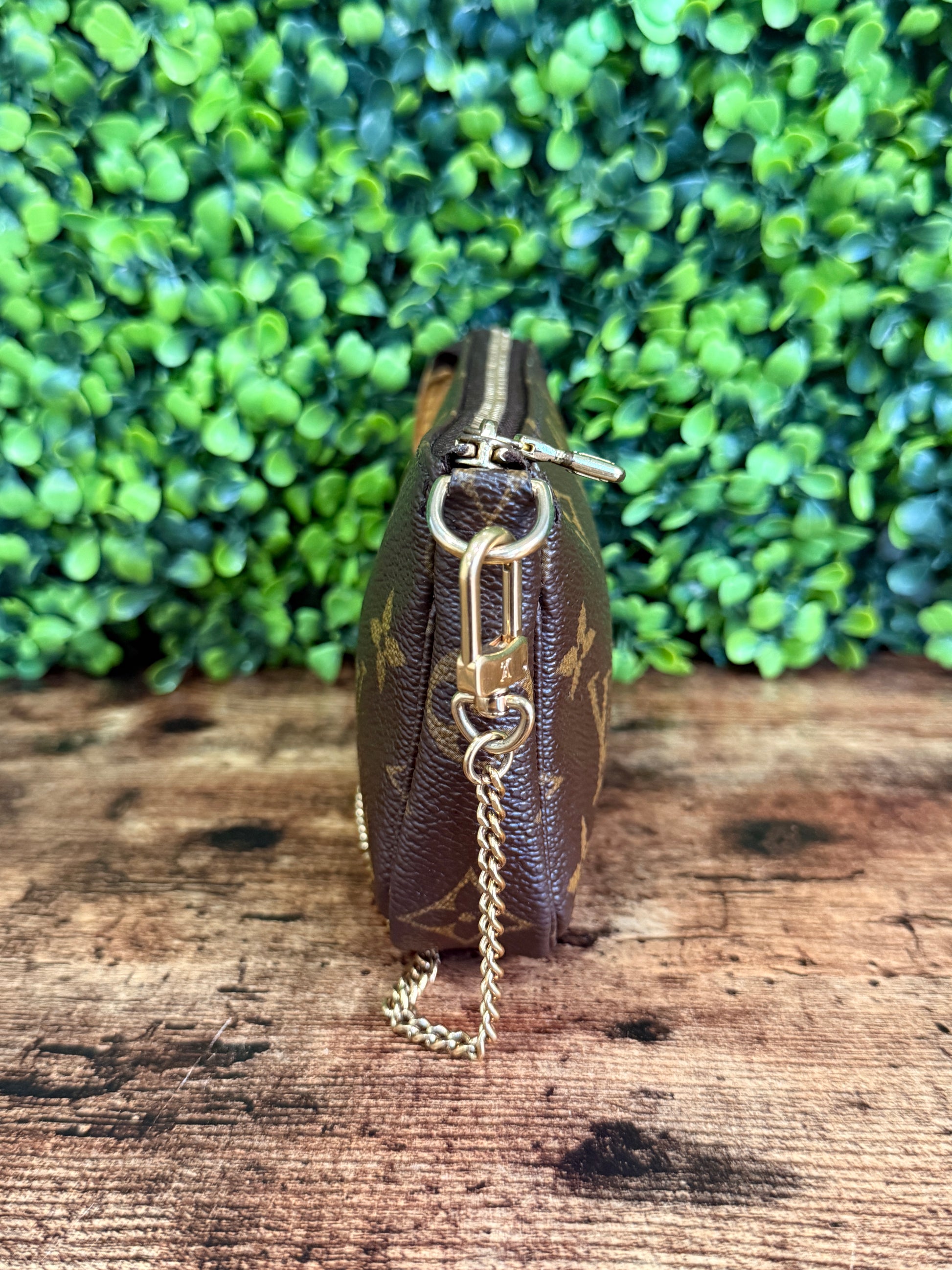 Louis Vuitton Monogram Pochette Accesoires Mini