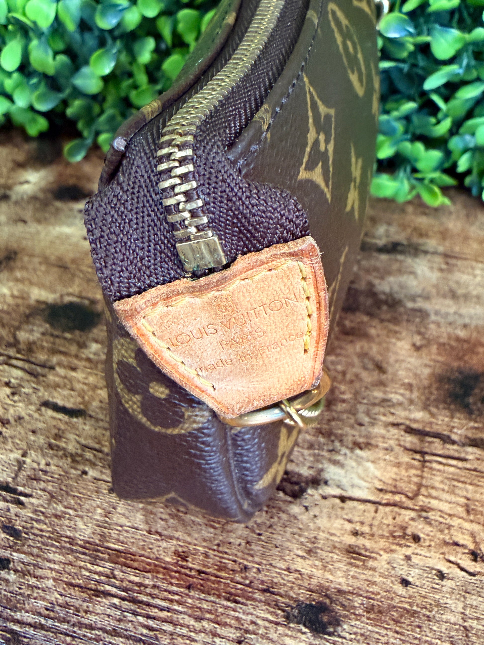 Louis Vuitton Monogram Pochette Accesoires Mini