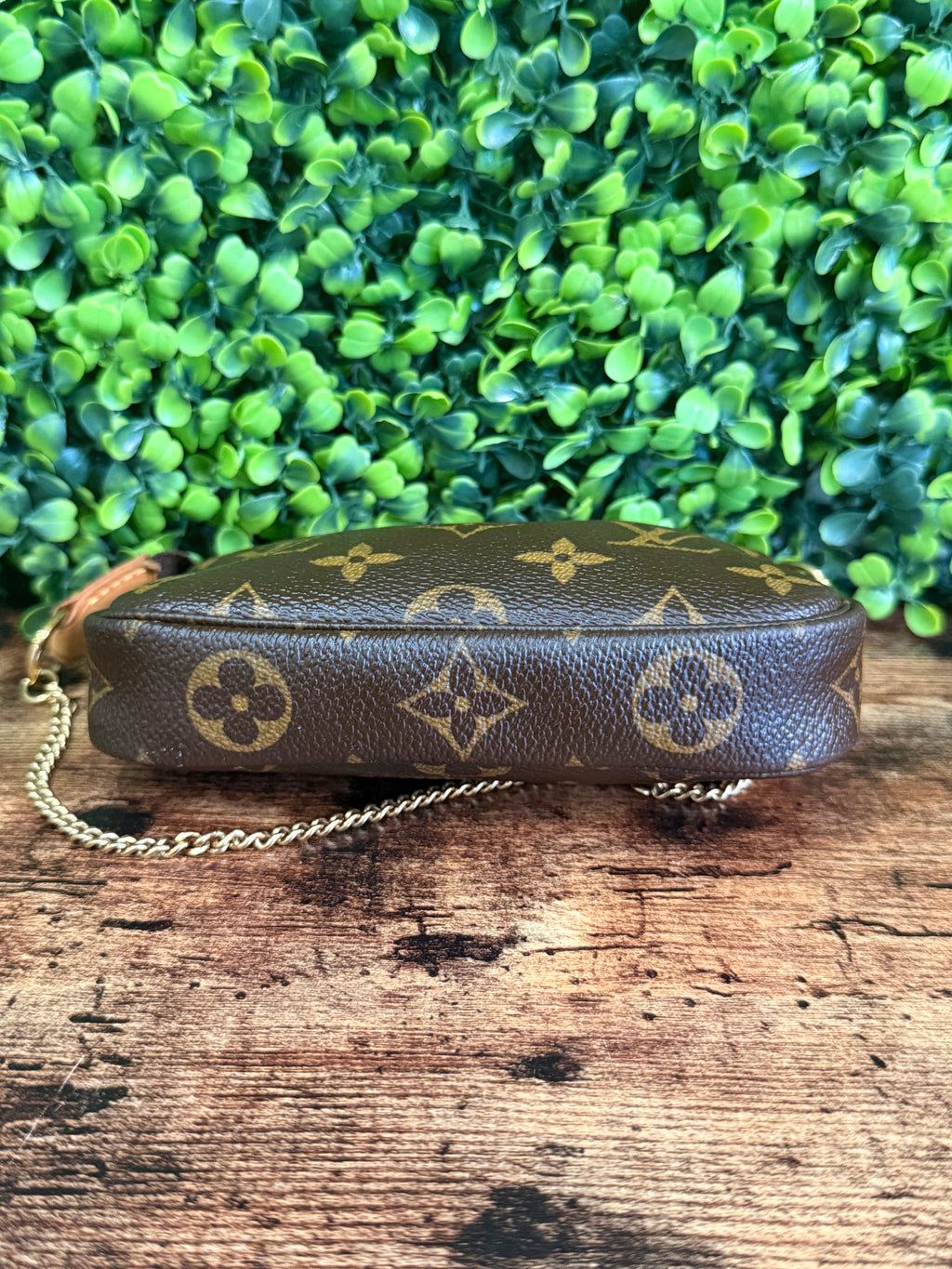 Louis Vuitton Monogram Pochette Accesoires Mini