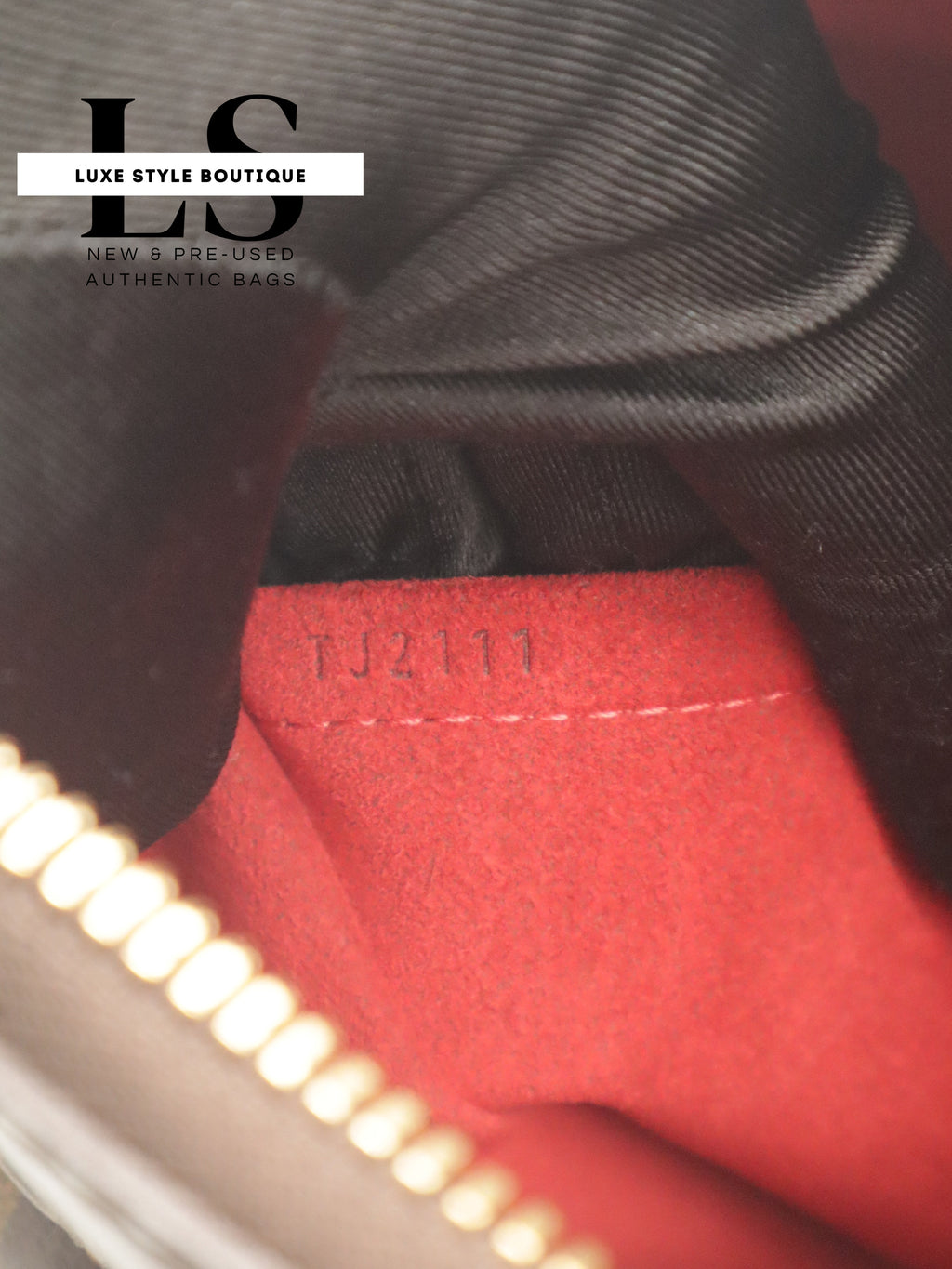 Louis Vuitton Trevi PM Damier Ebene