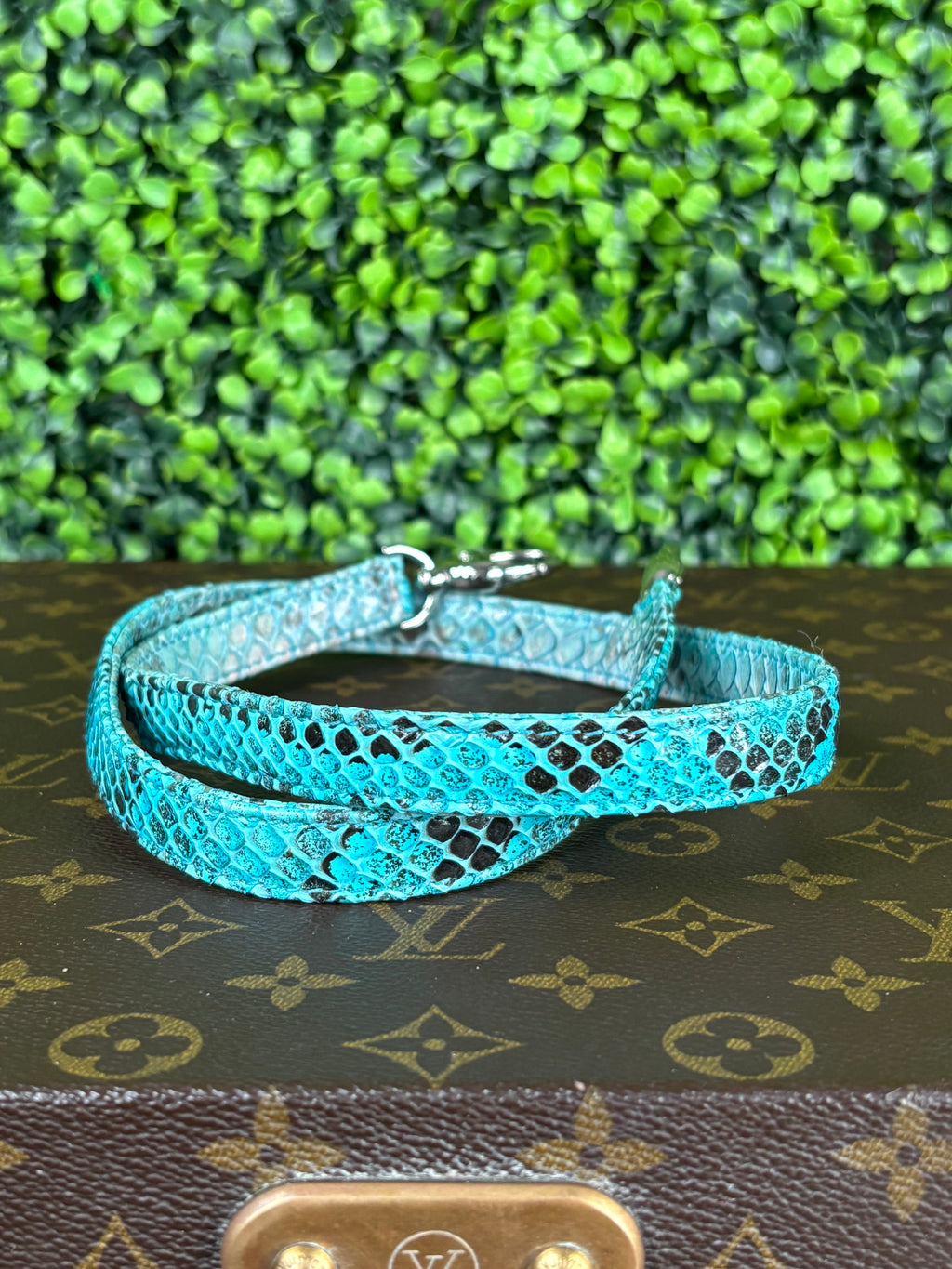 Lady Dior Green Python